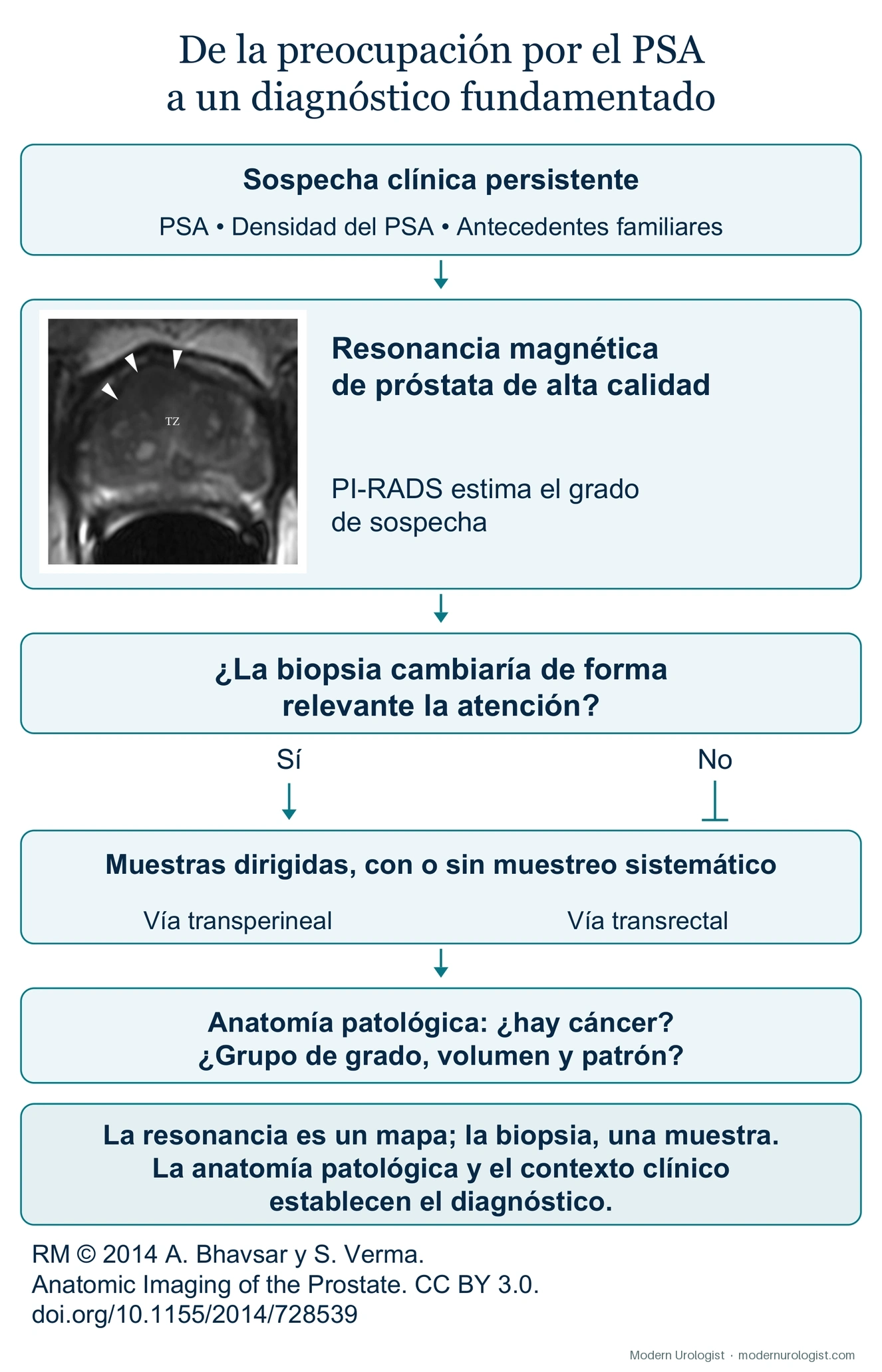 De la preocupación por el PSA a un diagnóstico significativo
