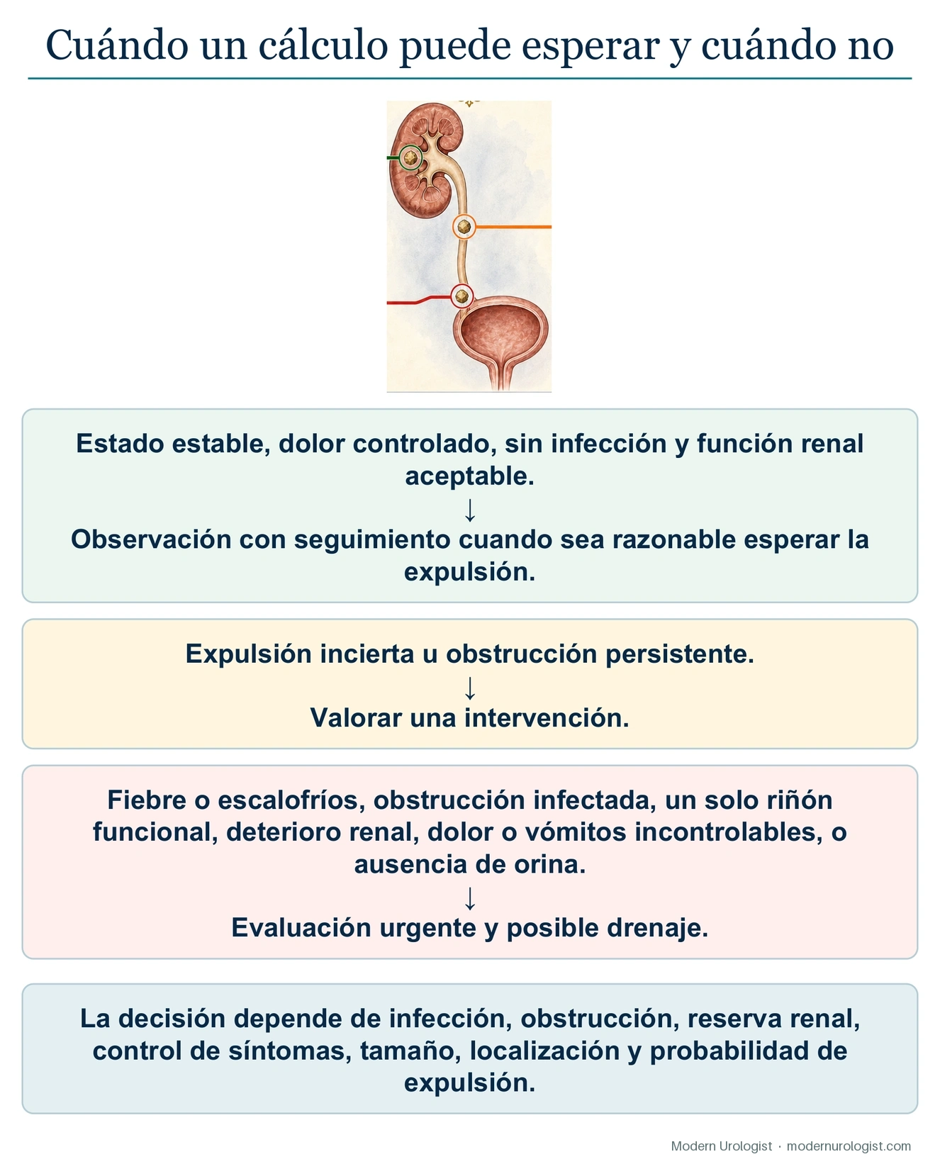 Cuándo se puede esperar y cuándo no con un cálculo renal